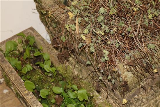 A set of three reconstituted stone garden planters, W.62cm
